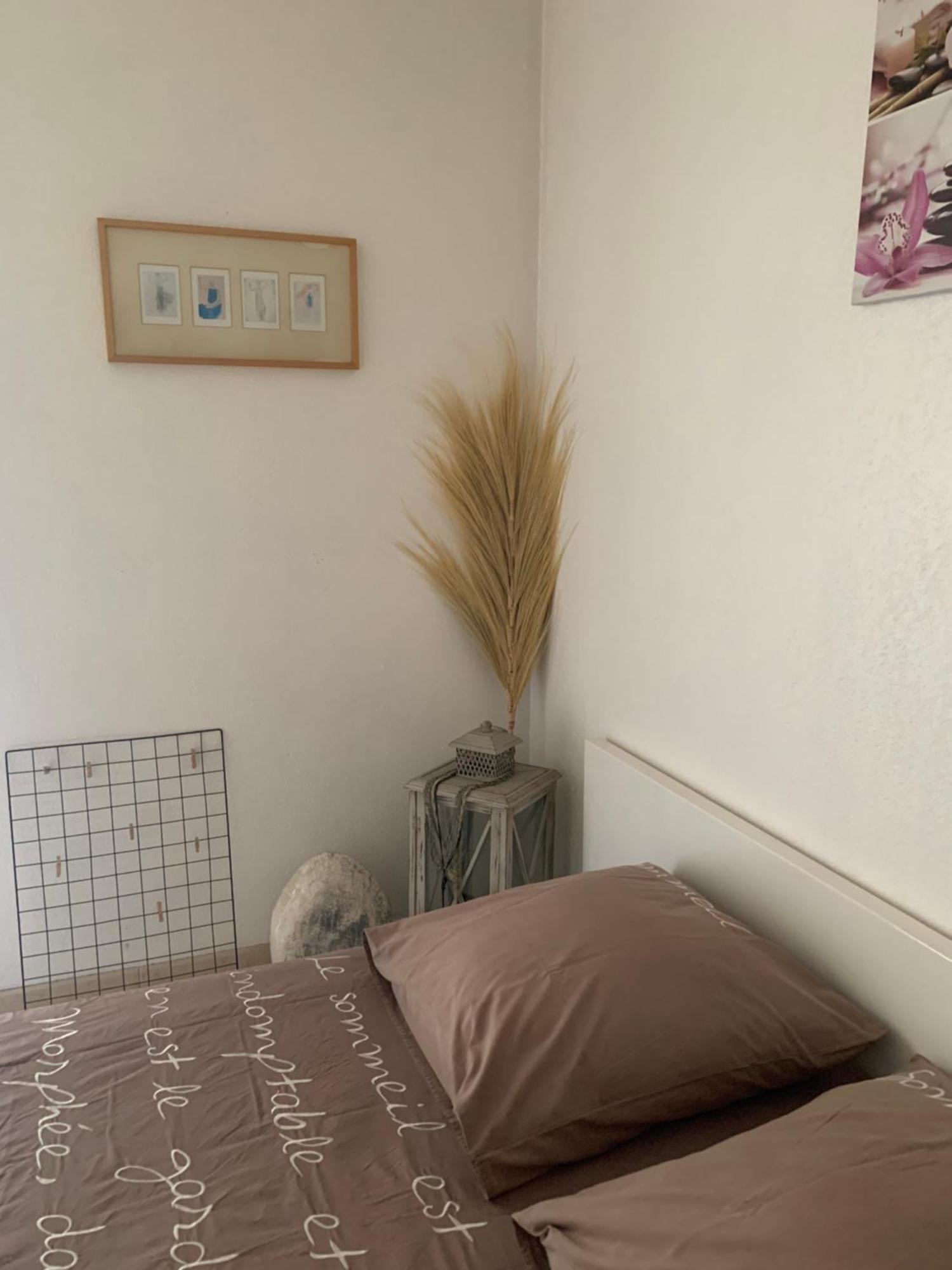 Votre Sejour Cosy A Frejus! Apartamento Exterior foto